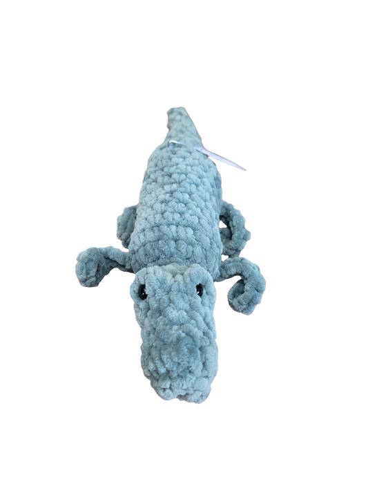 Alligator
