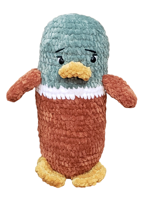 Mallard Duck