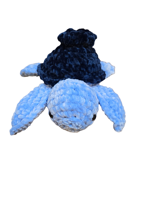 Blueberry Turtle