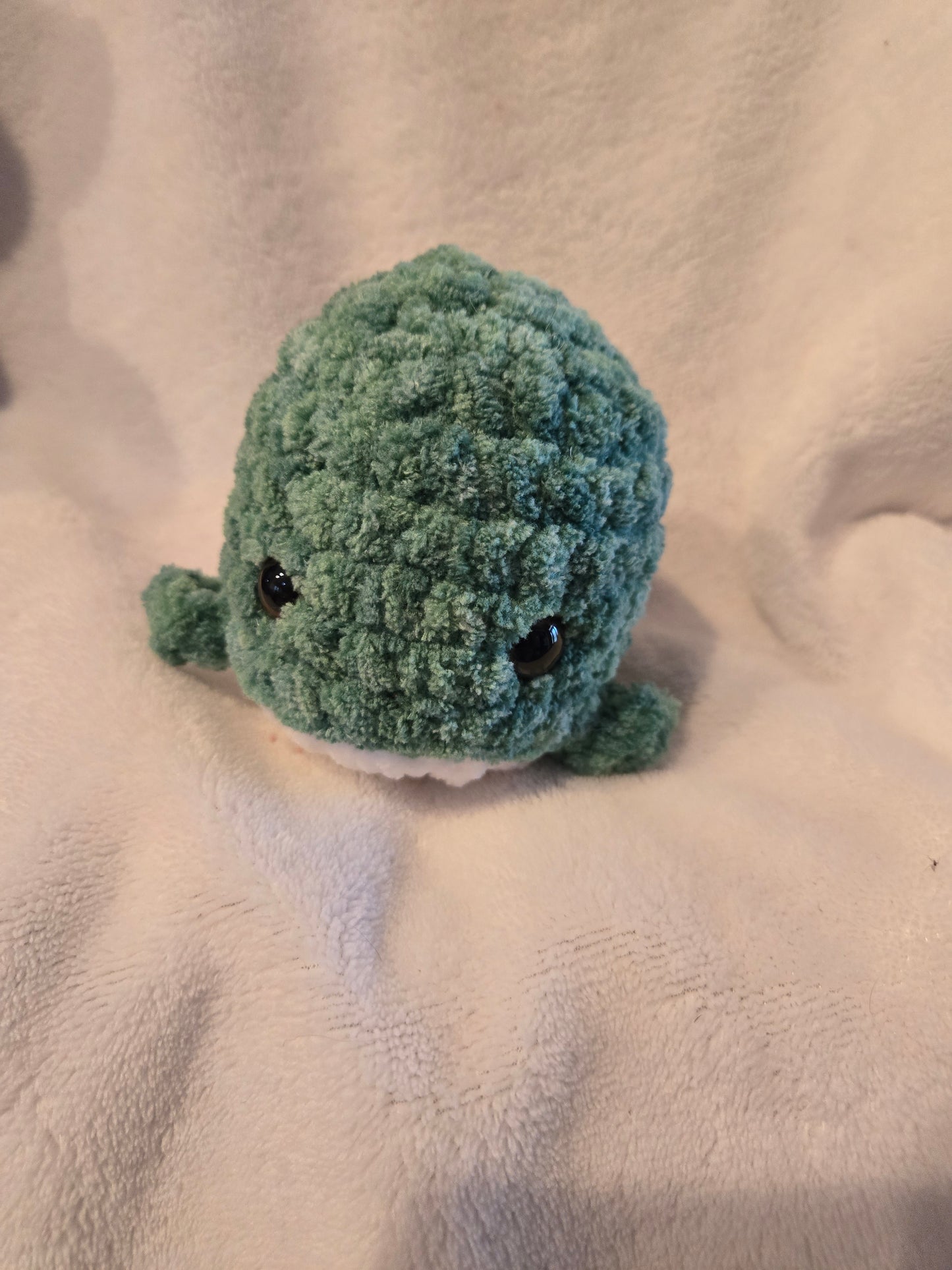Baby whale